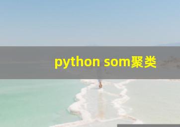 python som聚类